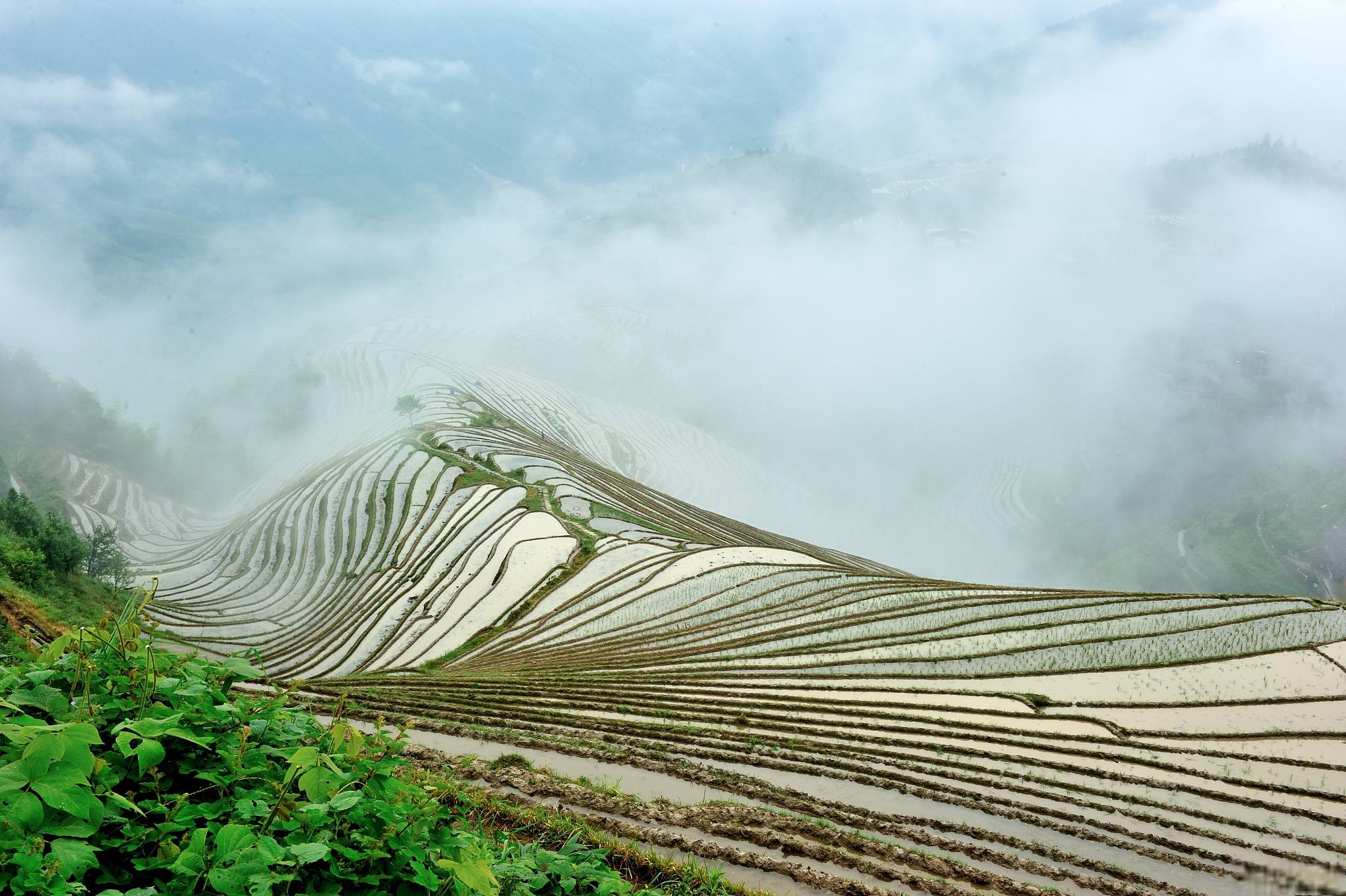 长途旅行中如何保护环境和尊重当地文化