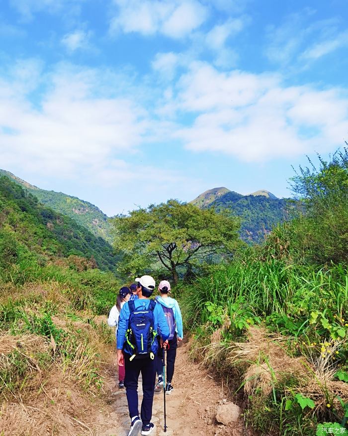 探索自然美景的徒步旅行有哪些健康益处