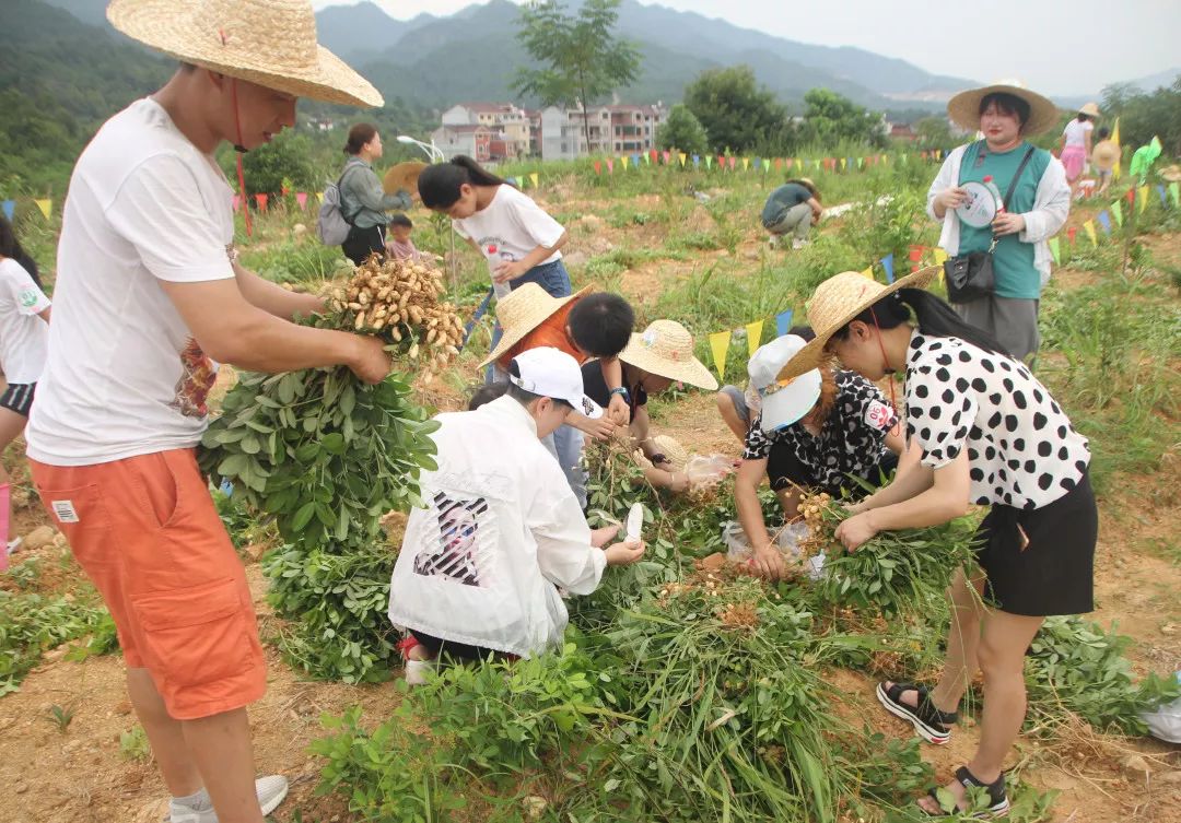 如何通过参与当地的农业活动体验农村生活