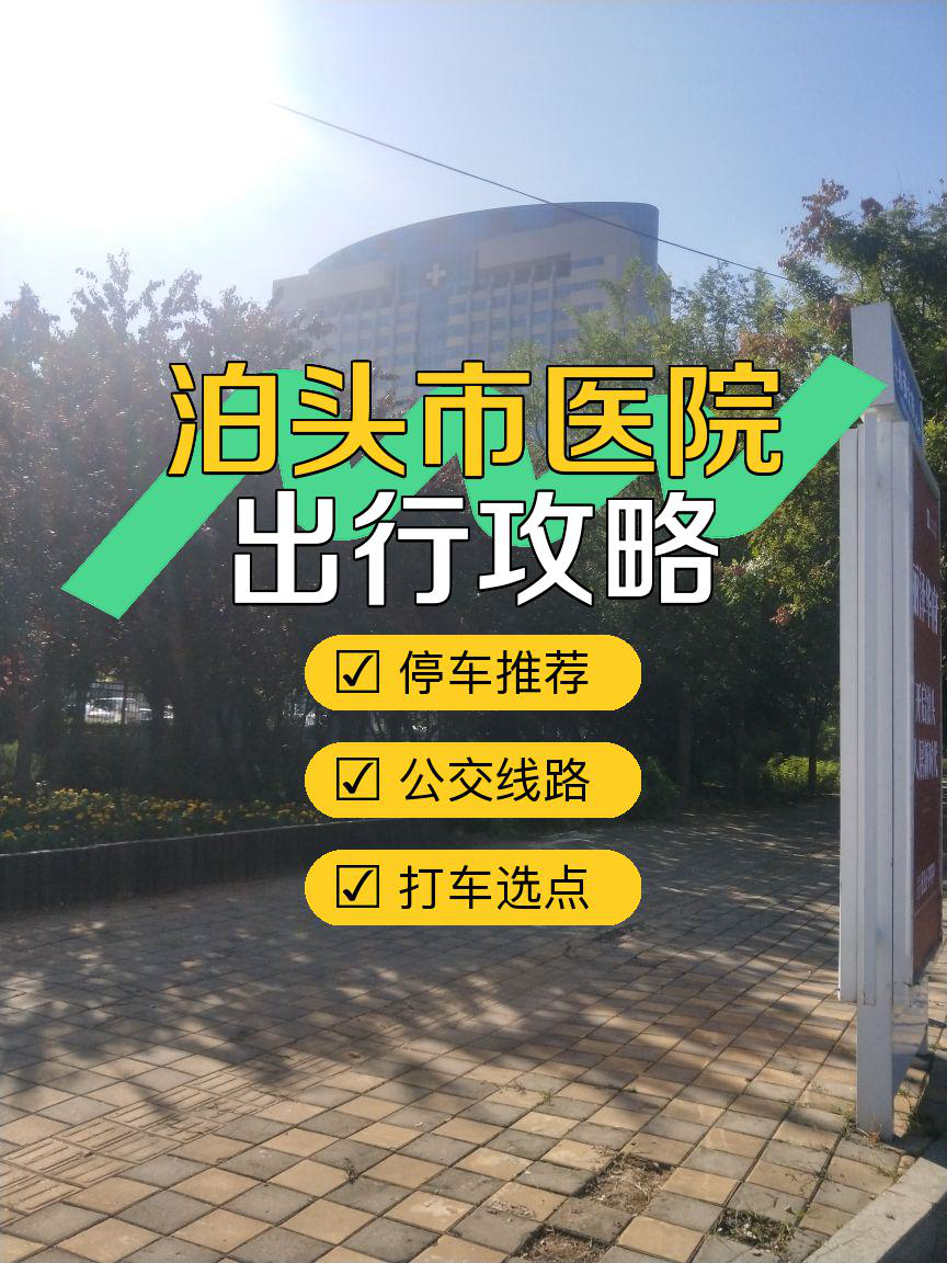 自驾游与公共交通相比，各有何优劣