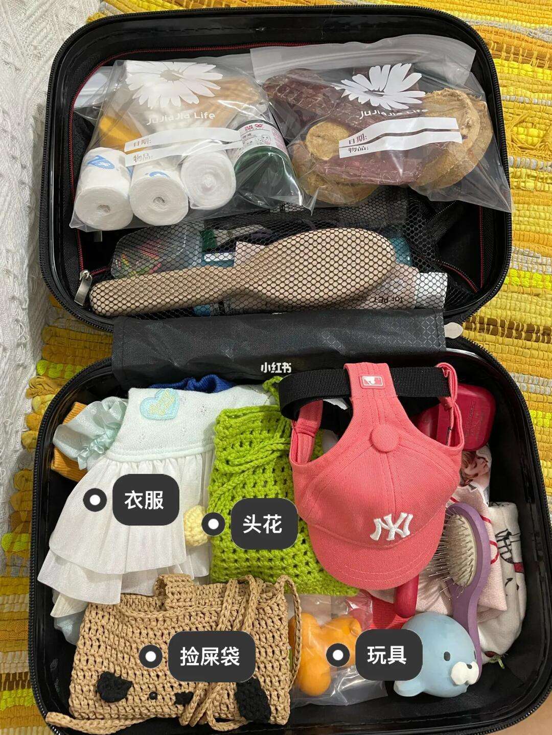 宠物旅行中需要携带哪些必备物品