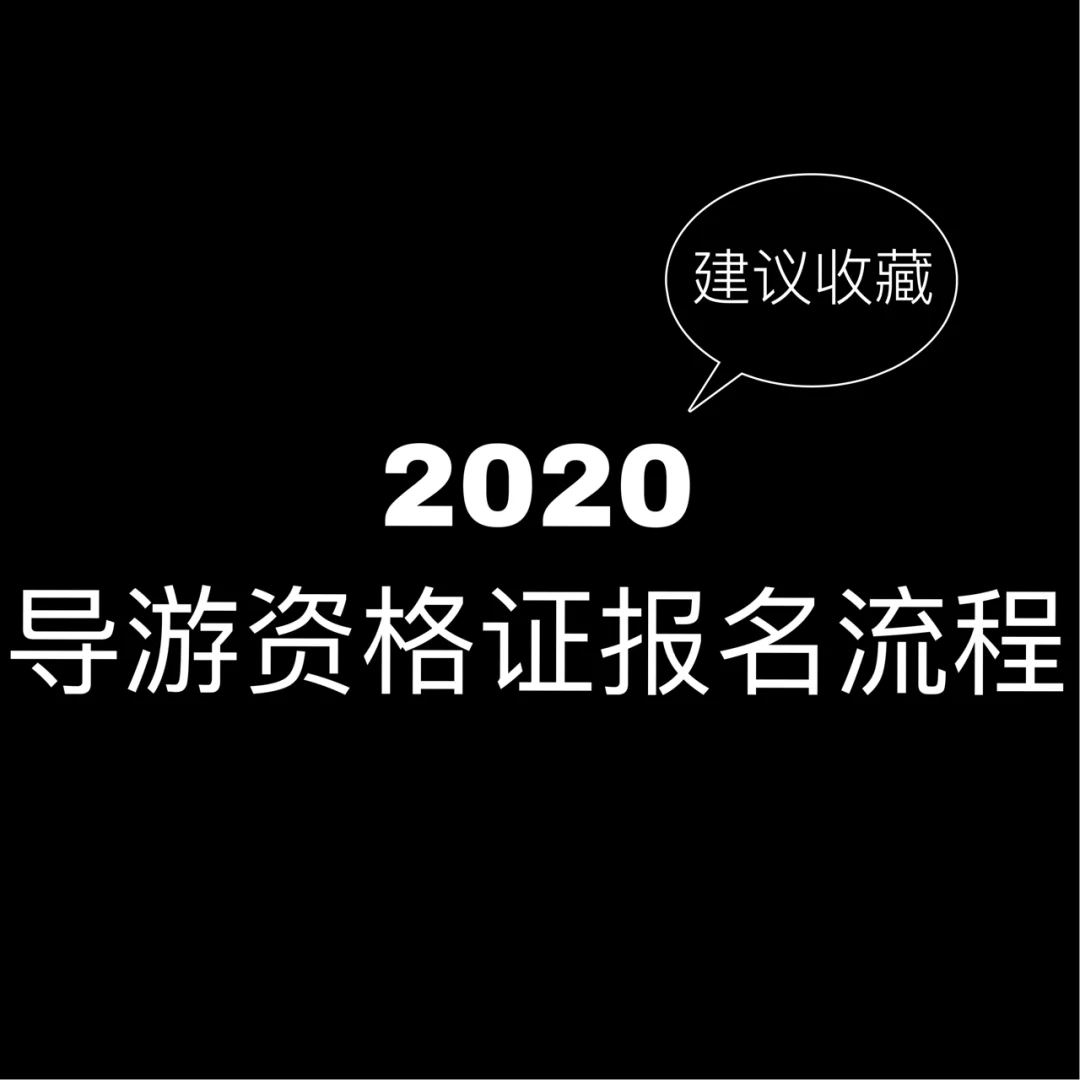 为什么选择有资质的导游比自助探索更有优势