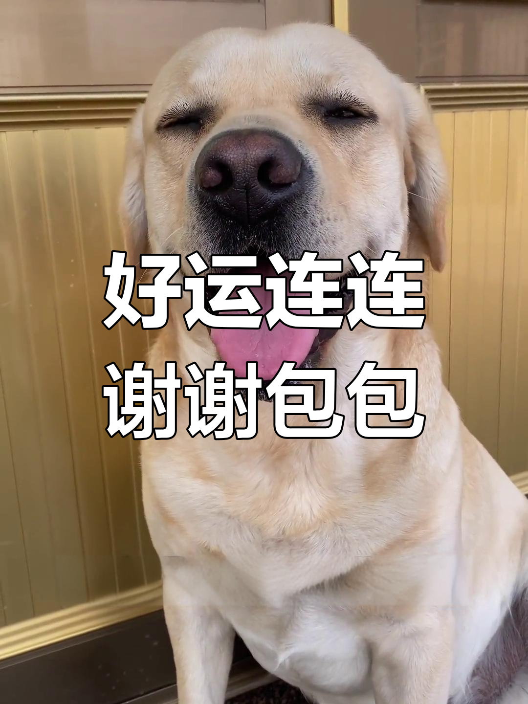 狼队蓄势待发备战，球队期待好运降临